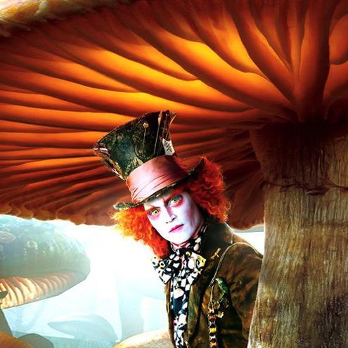 CalebStevenson9's profile picture. #FollowNow #InstantFollowBack #FollowBack #FollowBackTour #IFollowAll