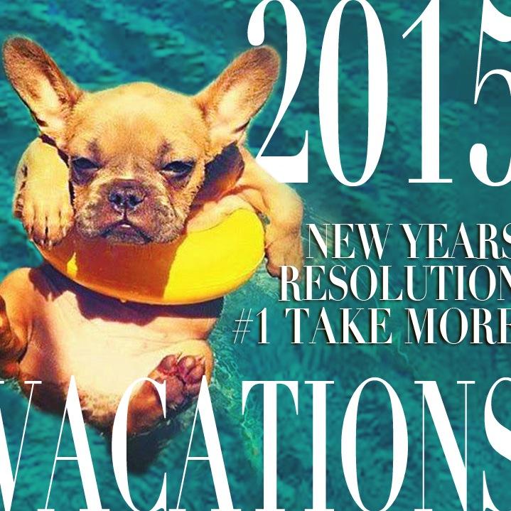 Pet Care & House Sitting