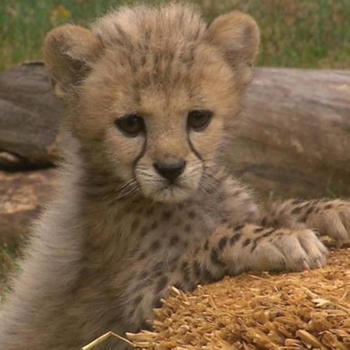 micshepp's profile picture. 