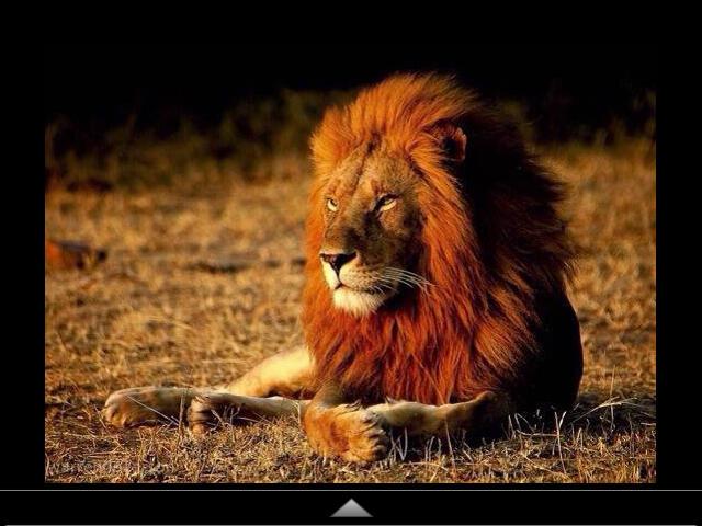 saad6731's profile picture. 