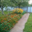 Гриць (@grishashchevel1) Twitter