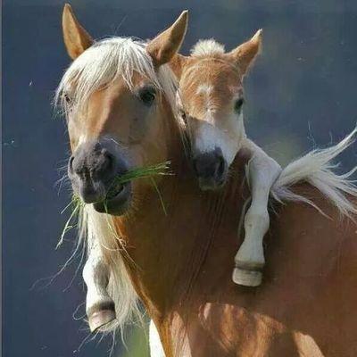 beverlyread1966's profile picture. 