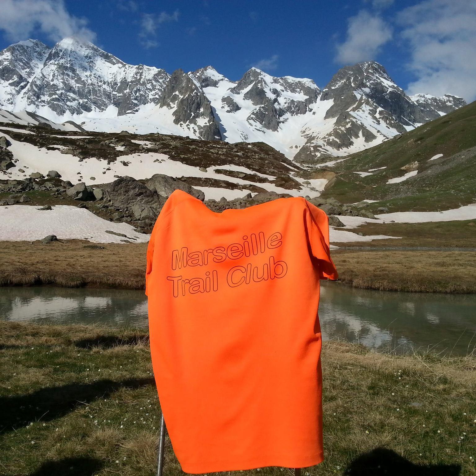 Team_MTC's profile picture. 