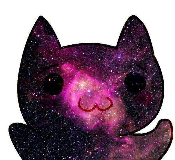 ximpingvin's profile picture. 