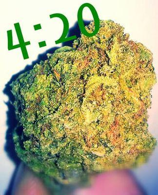 bf8807f0ec384e5's profile picture. just be happy and laugh smoke weed, therrs not a day that goes by i dont get high dont ask why