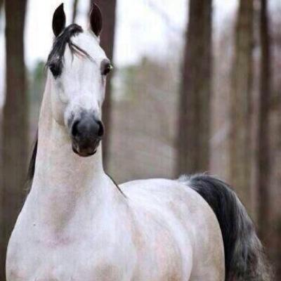 ودنا بالطيب بس الدهر جحاد طيب كل ما تخلص مع الناس كنك تغشها يدگ لامدت وفاء لاتحرى وش تجيب كان جتك سالمه حب يدك وخشها