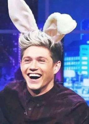 Hi!I'm Federica! One Direction follow me! Thank you so much! You make my dream! xItaly #ILoveOneDirection♥