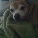 Michael Ozuna - @mozuna2010 - Twitter