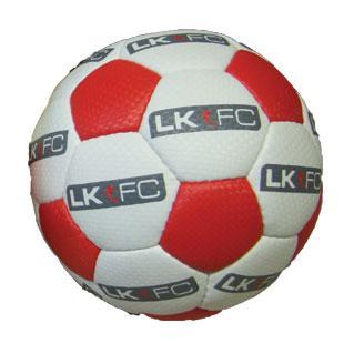 Approved Football Training for Children aged 18 months-7th Birthday in the Newcastle/Gateshead West Area.