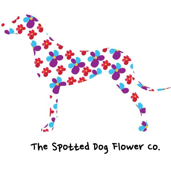 spotdogflowers's profile picture. Growing and selling #cutflowers in #Lincolnshire. Love  #family&friends,  #horses, #britishflowers, #gardens and #countryliving