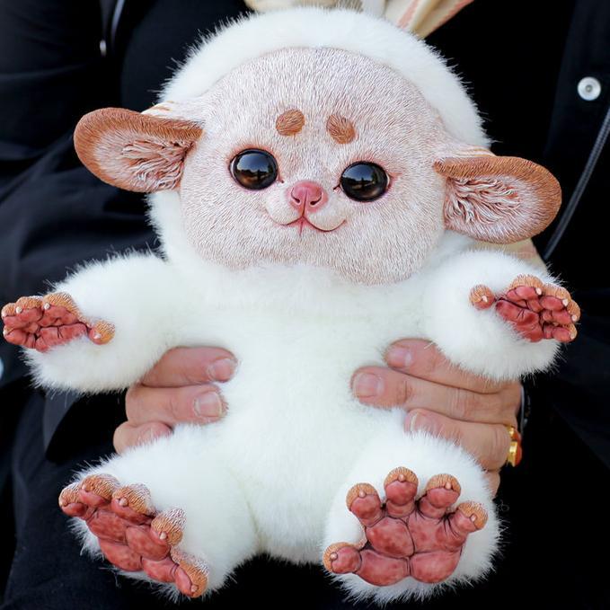 ... (●･ω･)ﾉ★