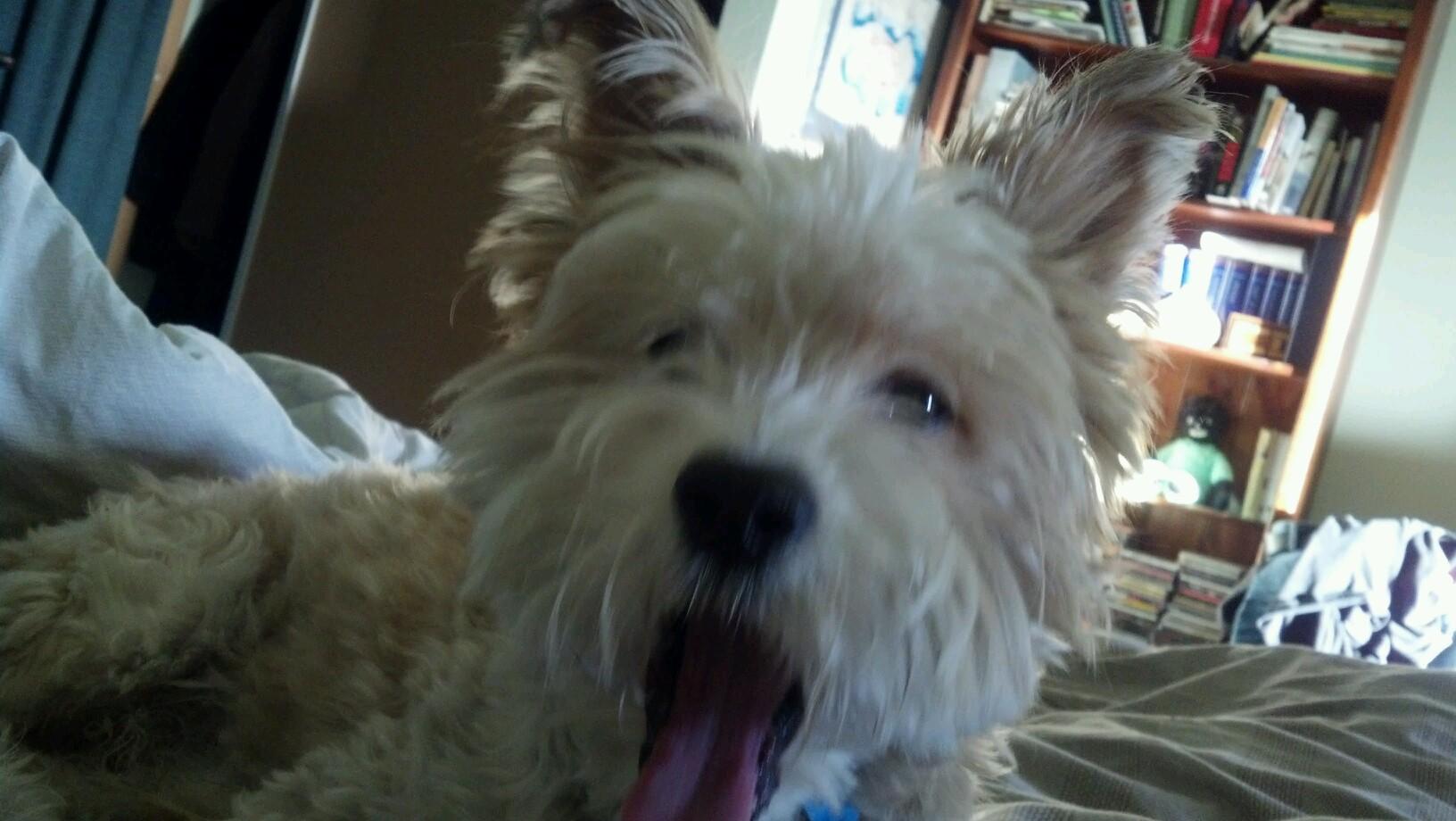 robynjw07's profile picture. Curious onlooker