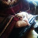 Vickie Ethridge - @VickieEthridge - Twitter