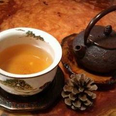 図書館で本を借りるひと