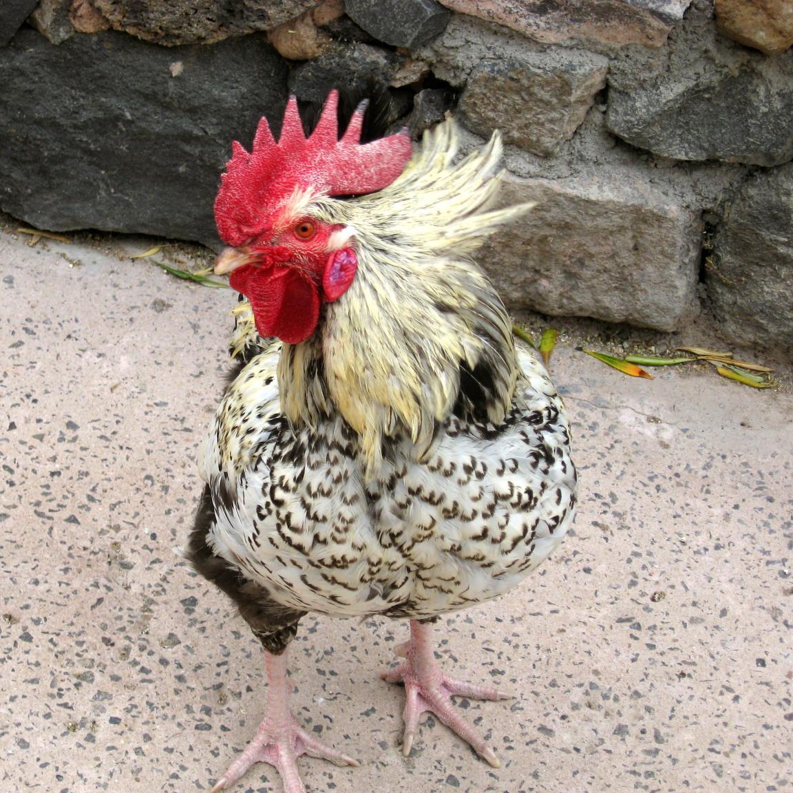 annamarialatta1's profile picture. 