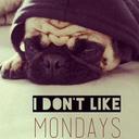 john gonzales - @xxrp_venumoskid - Twitter