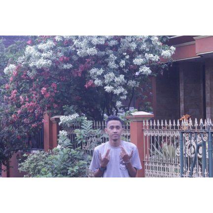 malang city
aries