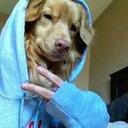 Autumn Lamb - @GoAheadNdLaugh - Twitter