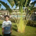 Silvia Romero (@59f713d879fd448) Twitter