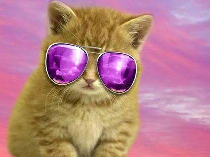 Vickie29924's profile picture. 