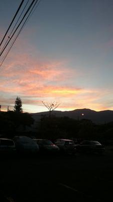 ligella66's profile picture. 