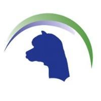 Breeders of elite alpacas in the East of England. Follow us to find out more!  Proven Award-Winning Genetics