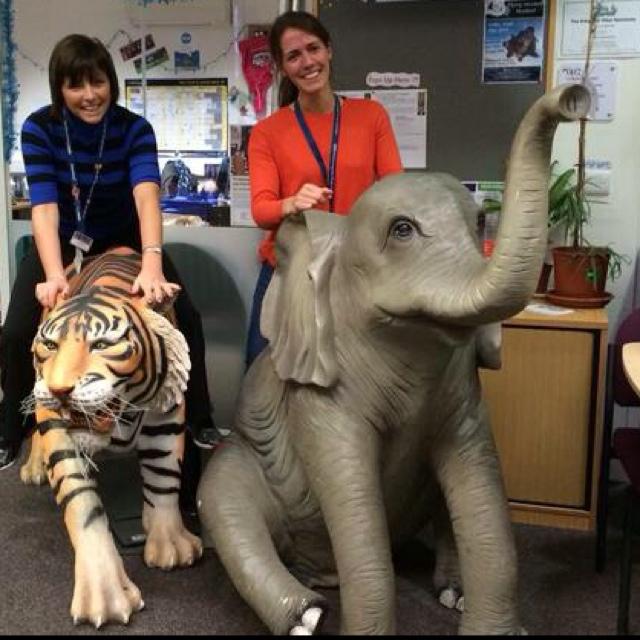 ReedJoReed's profile picture. No No No No No ........... Yes!