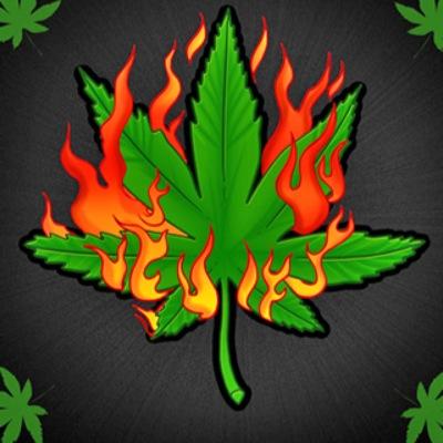 weed is my life