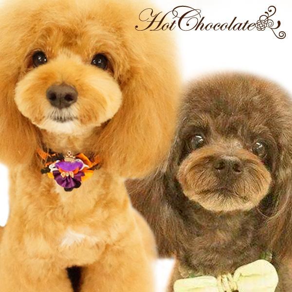 こんにちは(о´∀`о)ドッグウェア&ドッグウェアショップHotChocolateです。チワプーのメル(黒)&キャバプーのピンちゃんと一緒に小型犬のお洋服を販売しています。お気軽に覗いてみてくださいね♥