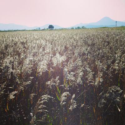 verygraciously's profile picture. 