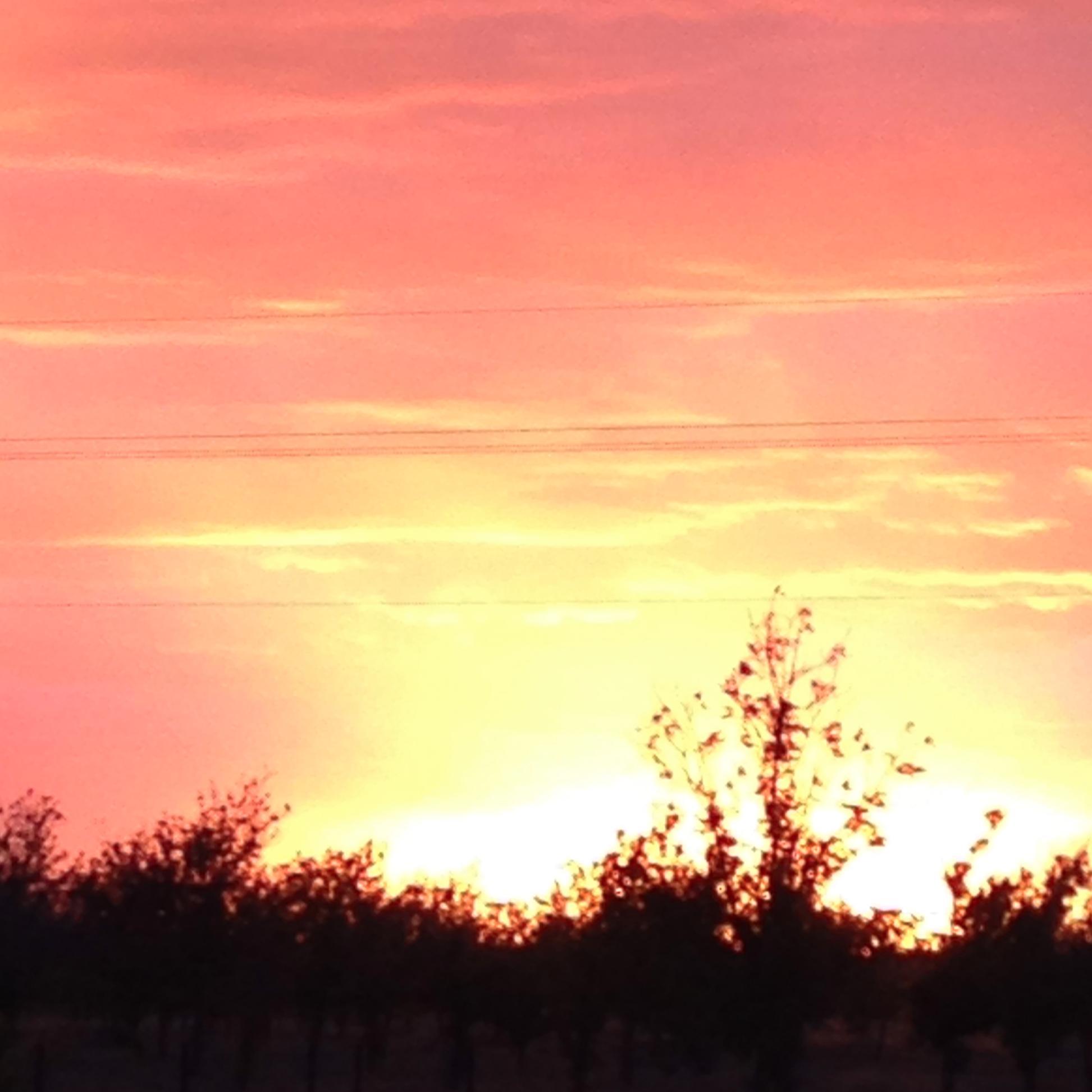 roughettes24's profile picture. 