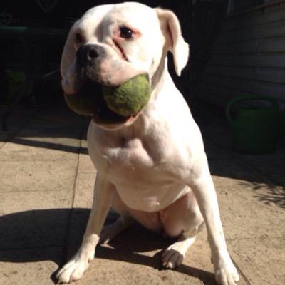 JTestcard's profile picture. 