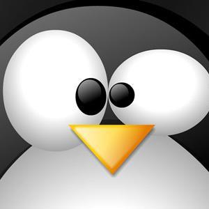 _JonQ_'s profile picture. cyber security & data analytics lover and practitioner