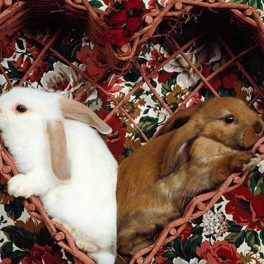 maykel_sitorus's profile picture. Never give up