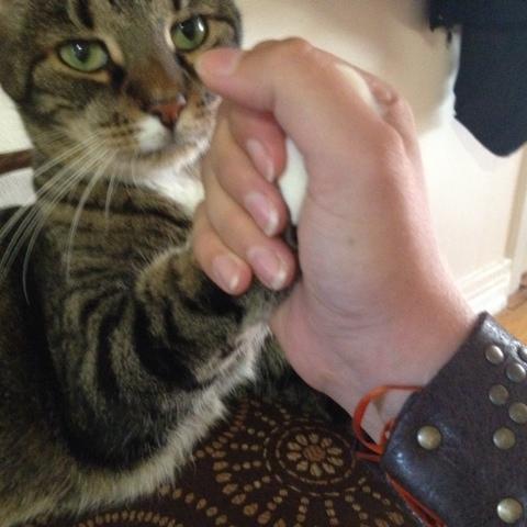 emily_rouch's profile picture. 