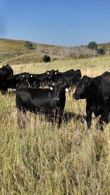 Farmer and Rancher