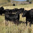 Kevin Blakeman - @blakeman_kevin - Twitter