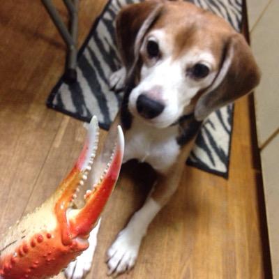 ryo04270330's profile picture. 独立行政法人国立病院機構 大阪南医療センター附属大阪南看護学校卒業 介護福祉士免許所有 第104回看護師国家試験合格♡♡♡ 看護師6年目 まだまだ成長中💖