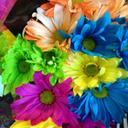 Tina Burbridge - @TinaTinaburb - Twitter