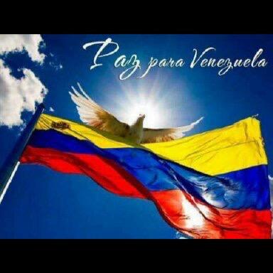 Militante Activo del PSUV.