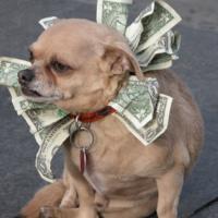 Free Follows (@avwmr31636346) Twitter profile photo