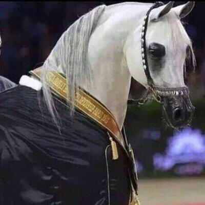 ‏ابن سواء