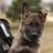 olam8676's profile image