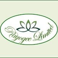A multifaceted family owned Enterprise. Rayogee Wellness & Lifestyle Hair & Scalp Clinic and Salon. Rayogee Promotions- Beauty of Sunset #carnival2015
