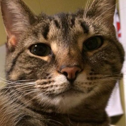 SherwoodShorty's profile picture. 