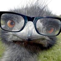 Molly Mulflur, M.D. (@hipsteremus) 's Twitter Profile