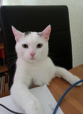 hoerbi101's profile picture. 