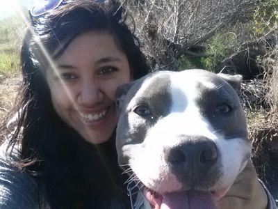 #Dodgers #Celtics #Cowboys #pitbullmommy #fitnessenthusiest #technician #straange