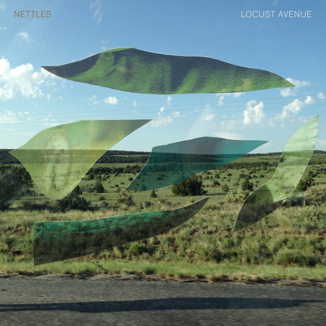 NettlesVA's profile picture. 