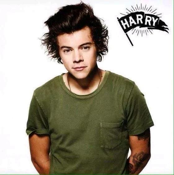 Directioner Fan$ #1 ❤ fans de Harry Styles ❤